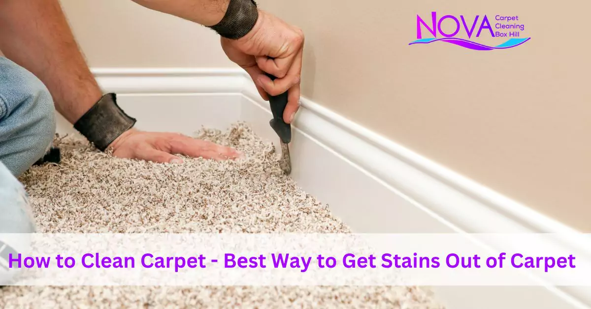 Carpet Cleaning Box Hill